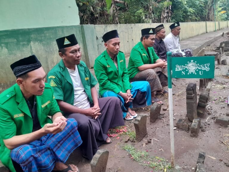 WhatsApp Image 2026-02-17 at 11.27